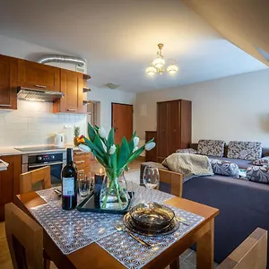 Apart-styl Ul Brzozowa Zakopane